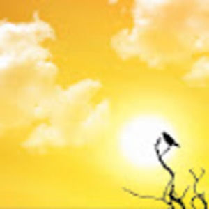 Meet your Posher, Cami